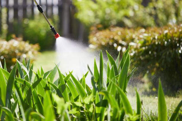 24/7 Emergency Wasp Removal experts in South Uniontown, PA