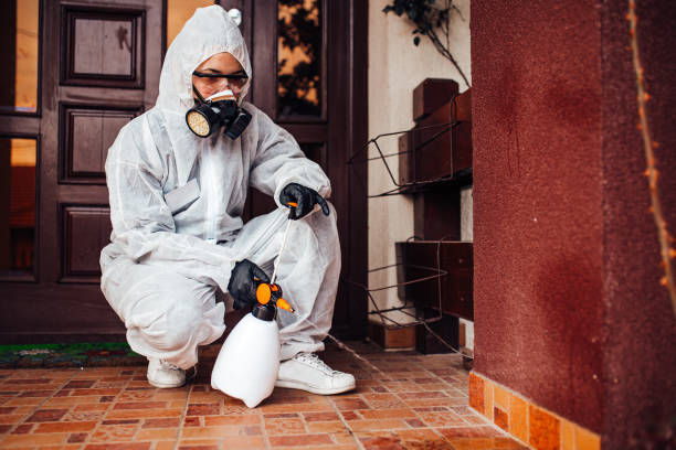Reliable Wasp Removal contractor in South Uniontown, PA by Show Me Pest Control